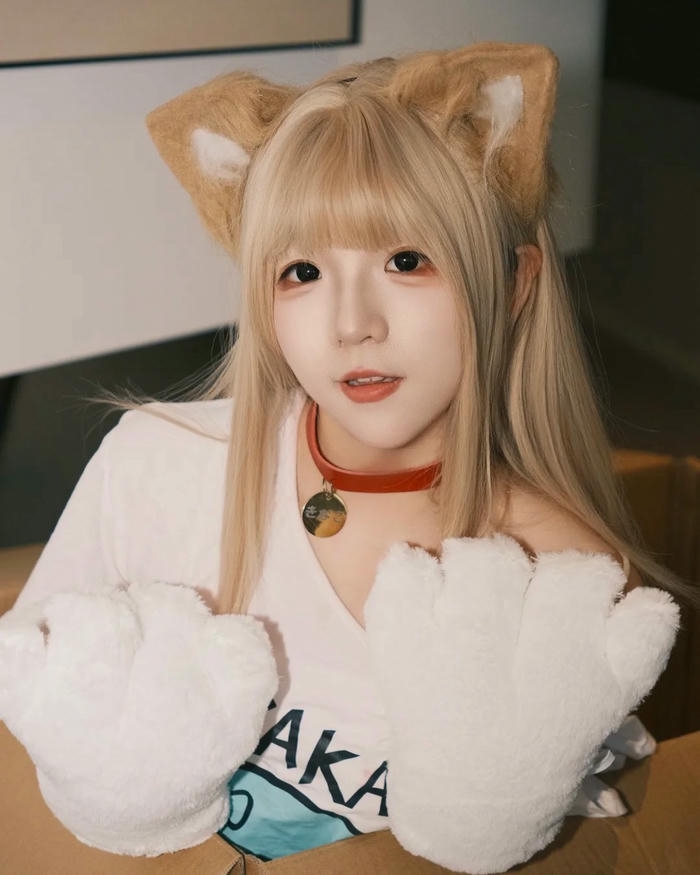 Mẫu hình cosplay mèo có tạo hình nổi bật