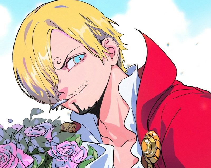 ảnh Sanji 8