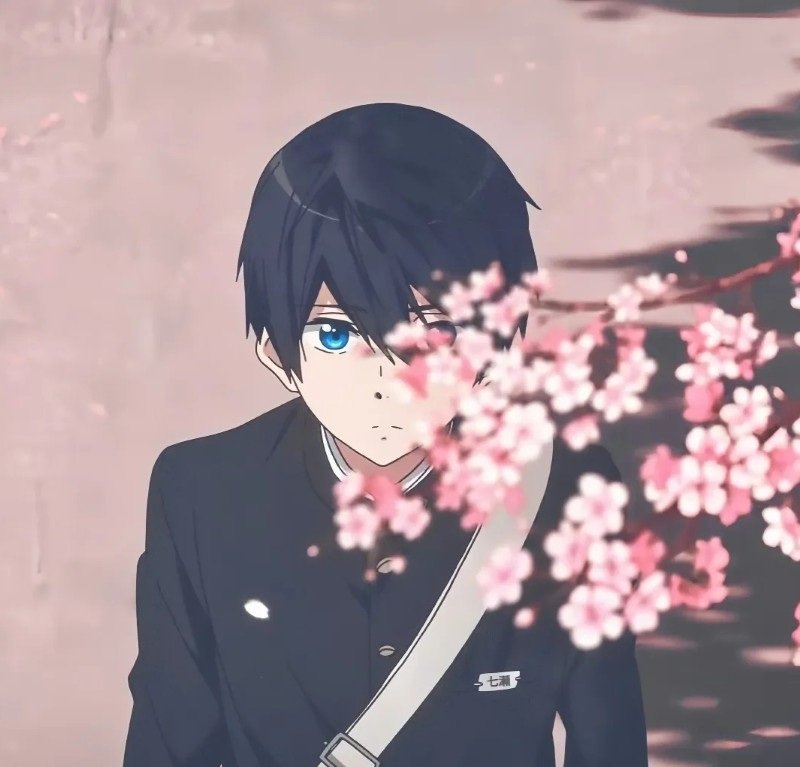 ảnh anime học sinh 37