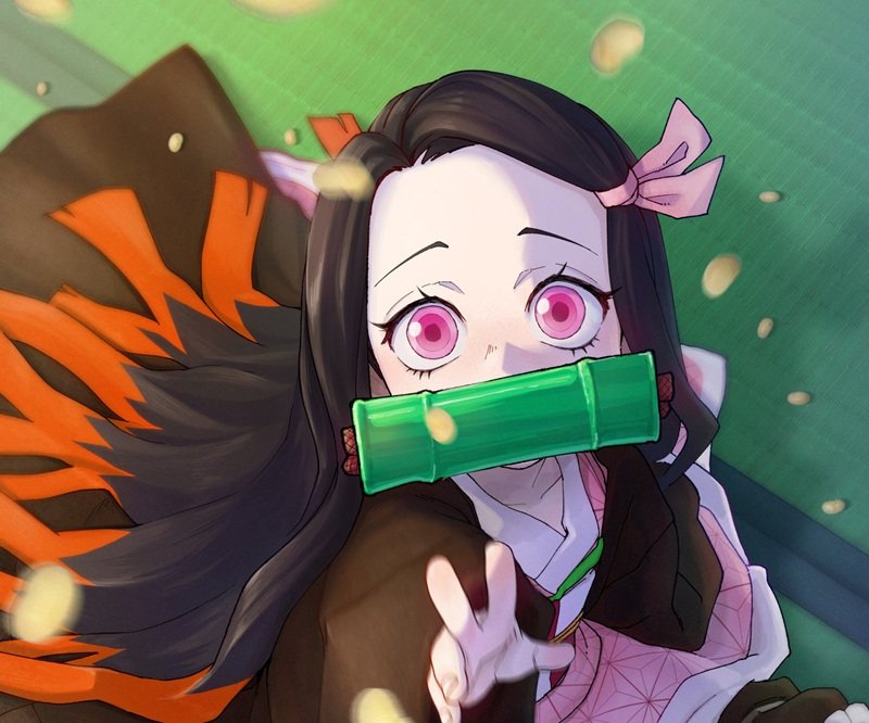 ảnh nezuko 31