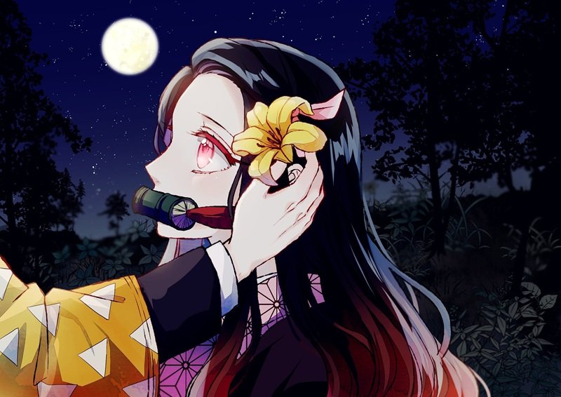 ảnh nezuko 6