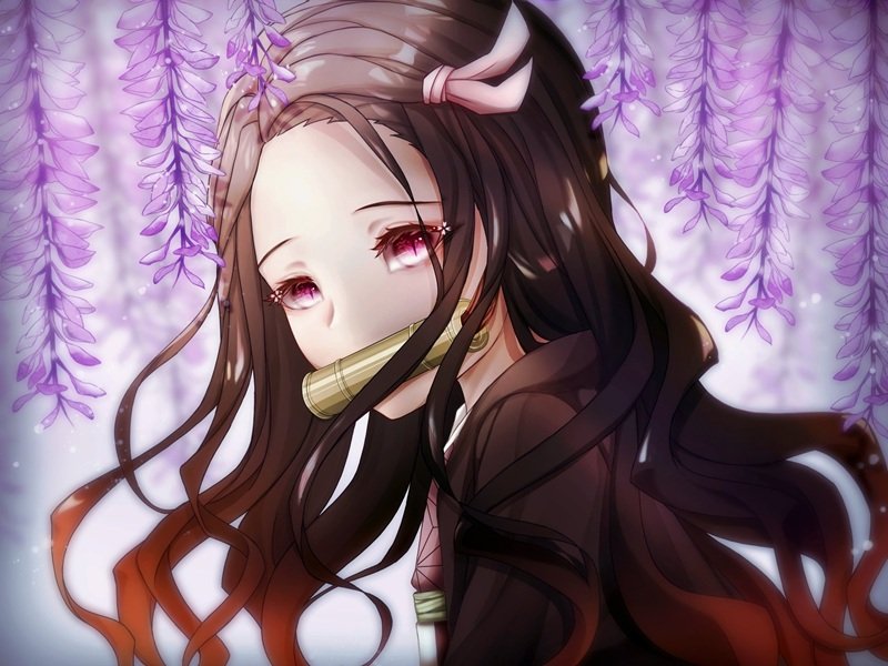 ảnh nezuko 8