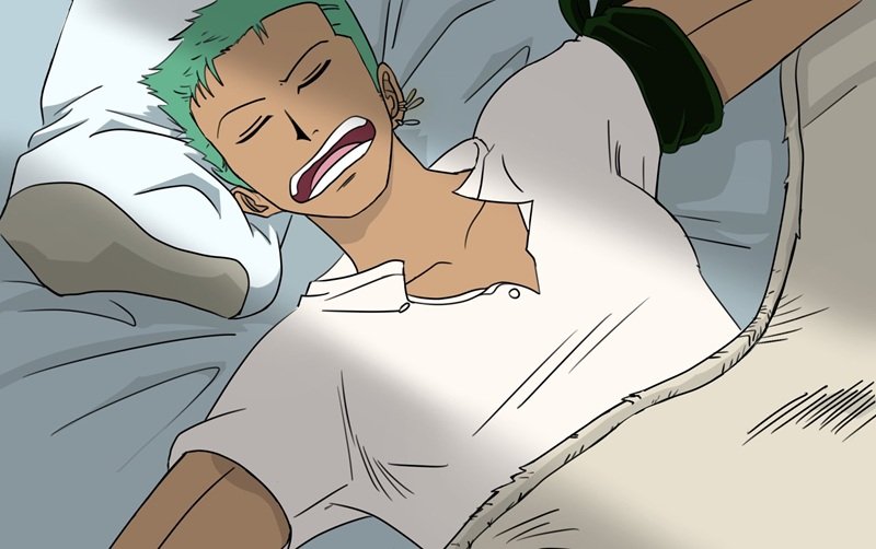 ảnh zoro 6