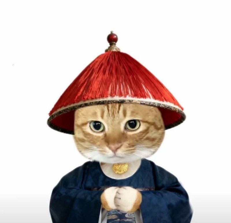 avatar đôi vô tri mèo 7