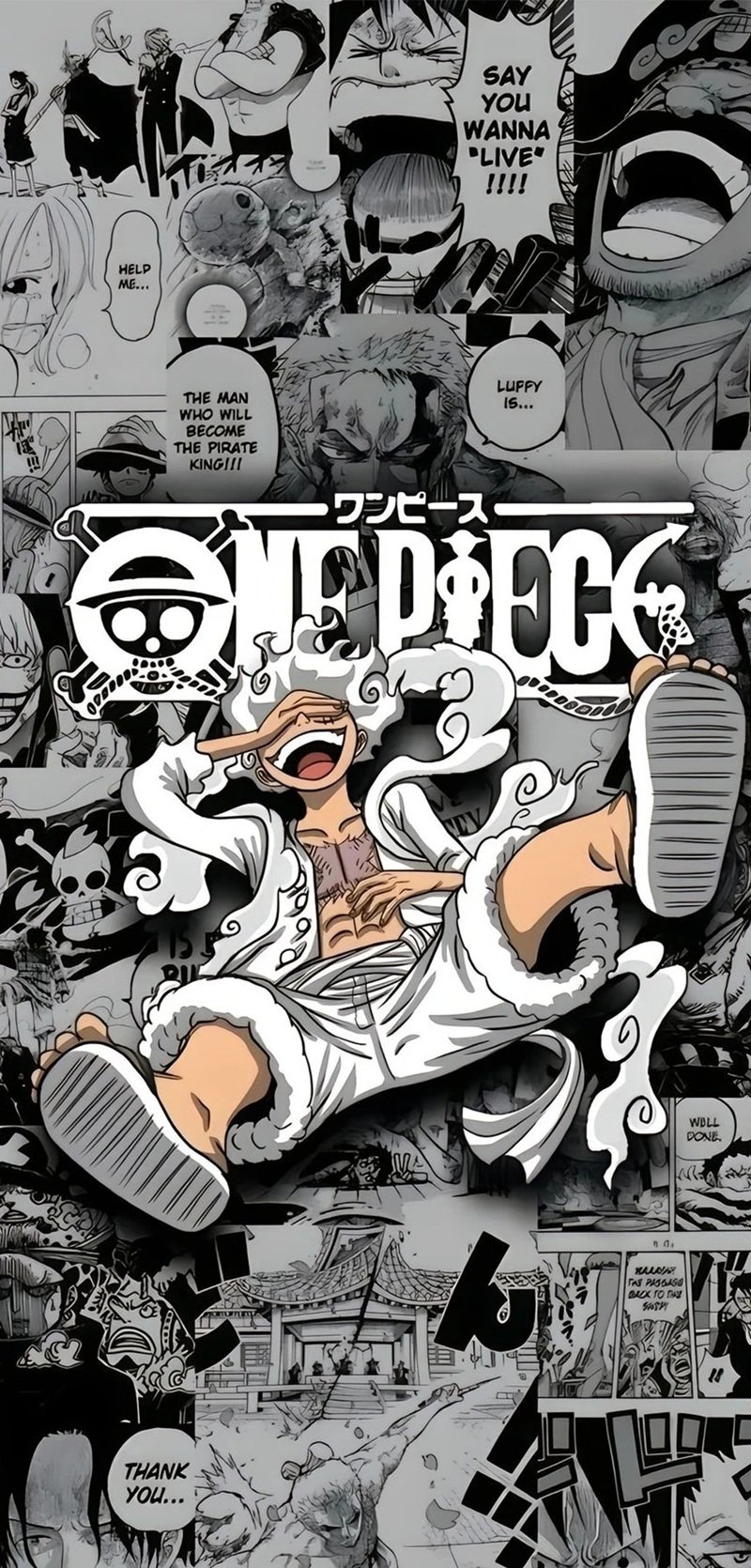 hình ảnh luffy gear 5