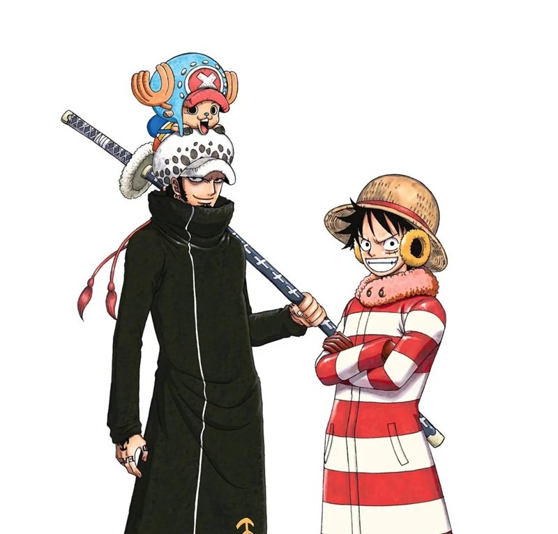 law x luffy​ 11