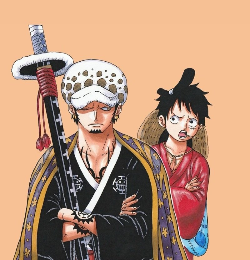 law x luffy​ 31
