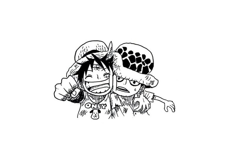law x luffy​ 36