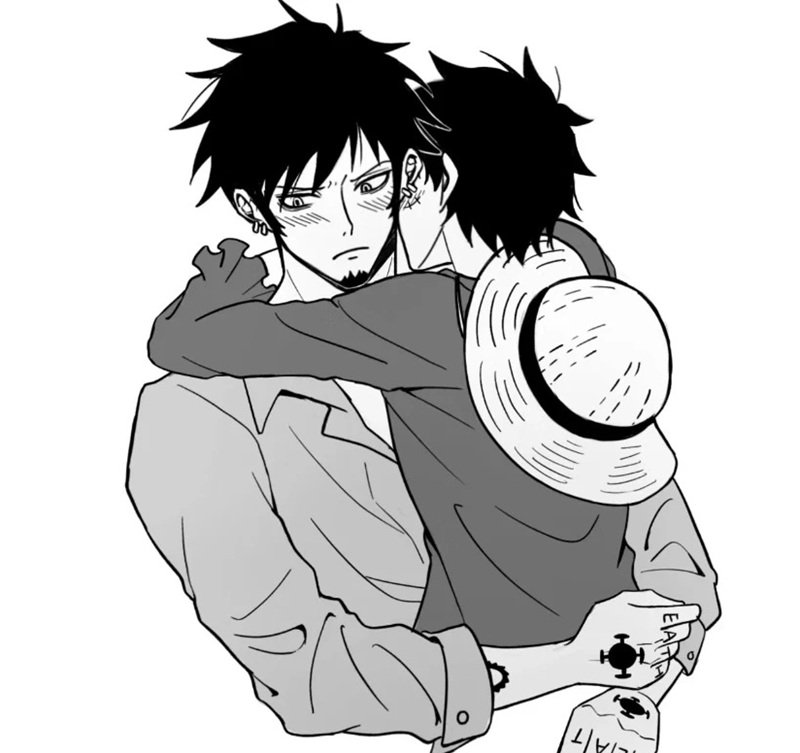 law x luffy​ 6