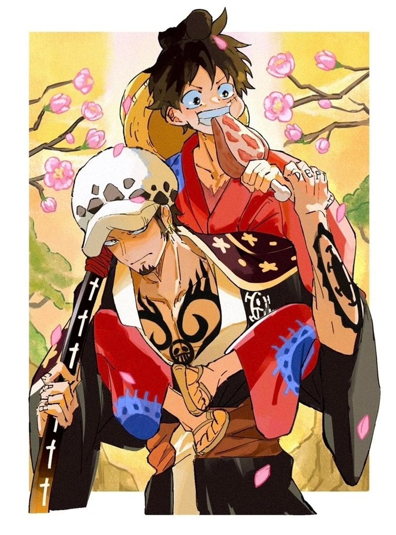 law x luffy​ 8
