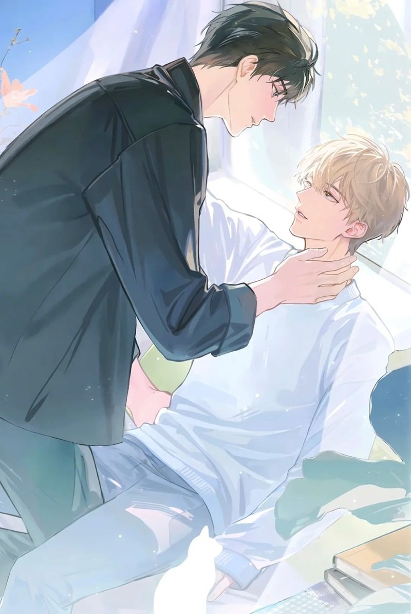 Anime Boylove​​ 12