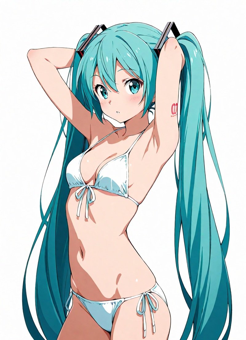miku sexy 17