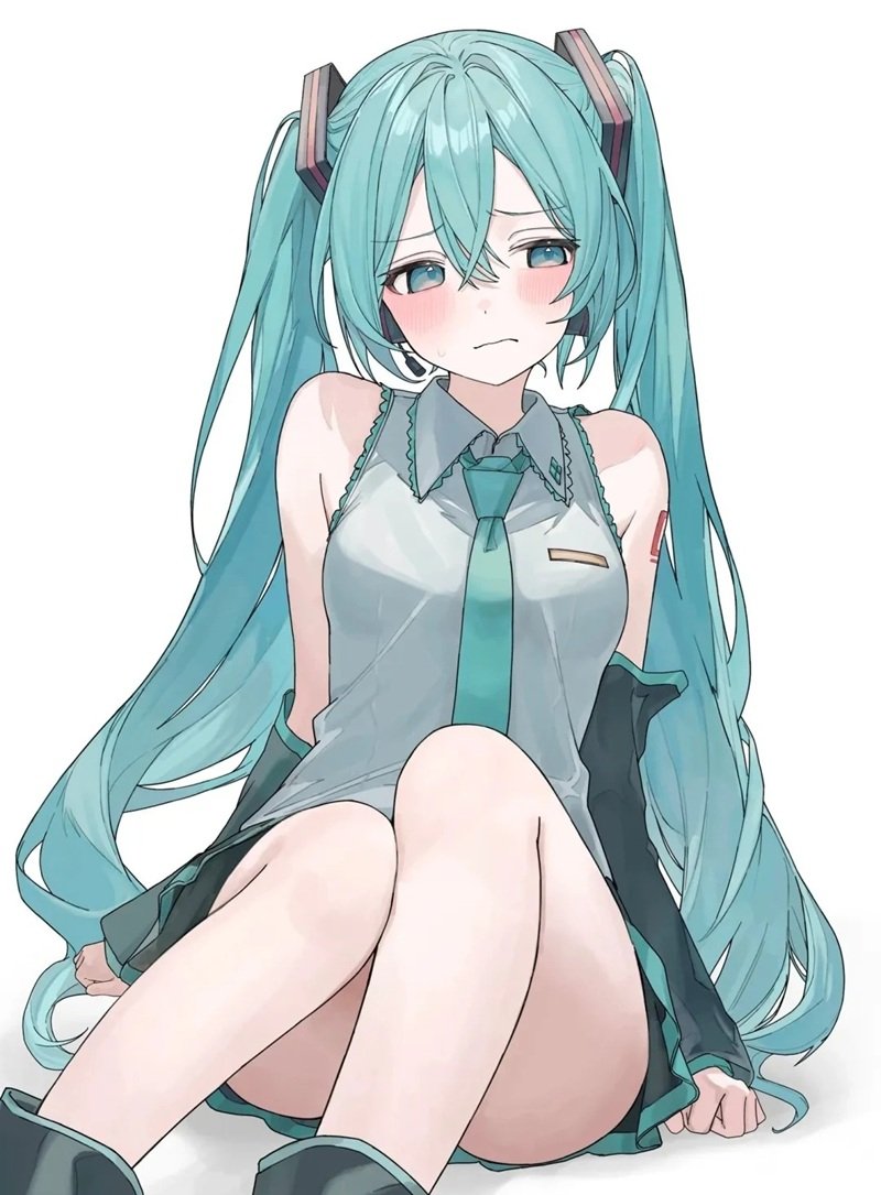 miku sexy 37