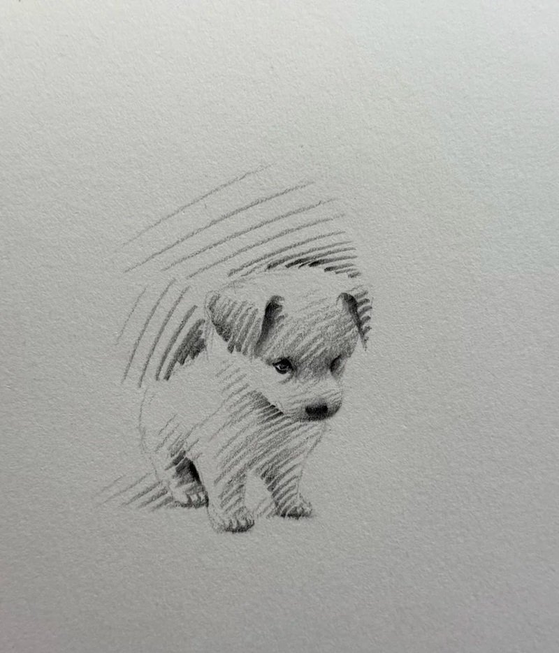 các hình vẽ con vật đẹp nhất 6