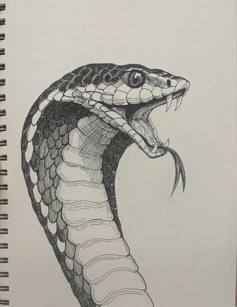 các hình vẽ con vật đẹp nhất 8