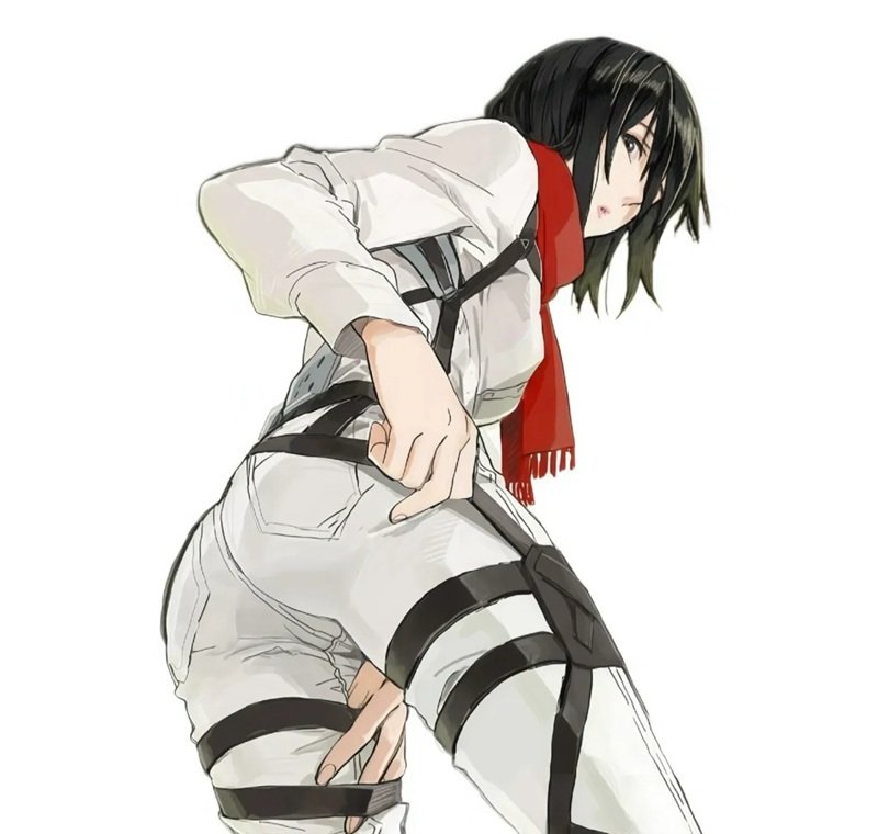 mikasa sexy 23