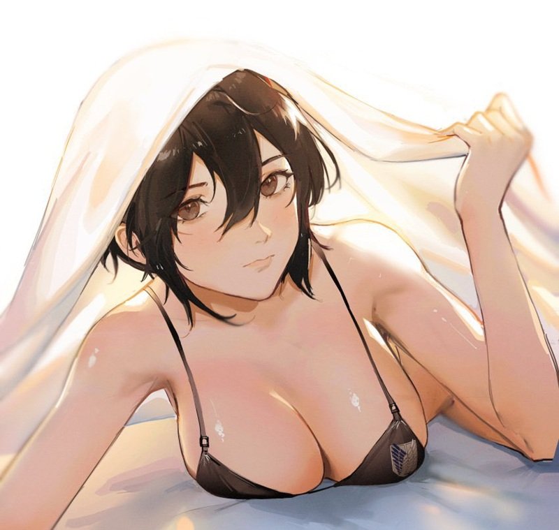 mikasa sexy 9