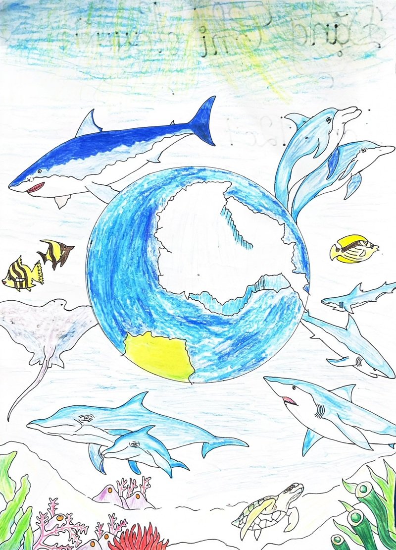 tranh bảo vệ môi trường 23