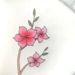 Top 99+ tranh vẽ hoa đào được yêu thích dịp đầu năm