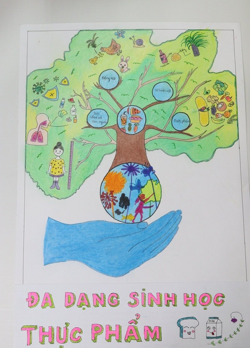 vẽ tranh biến đổi khí hậu 17