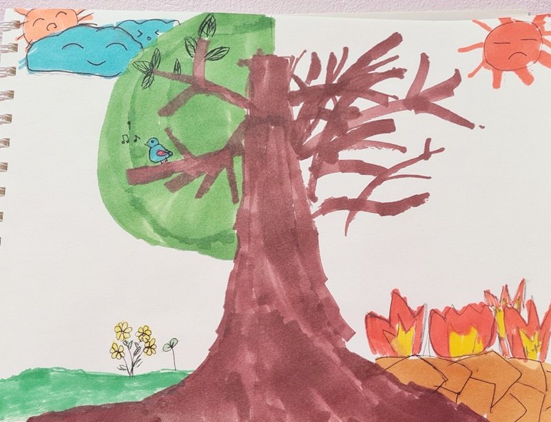 vẽ tranh biến đổi khí hậu 3