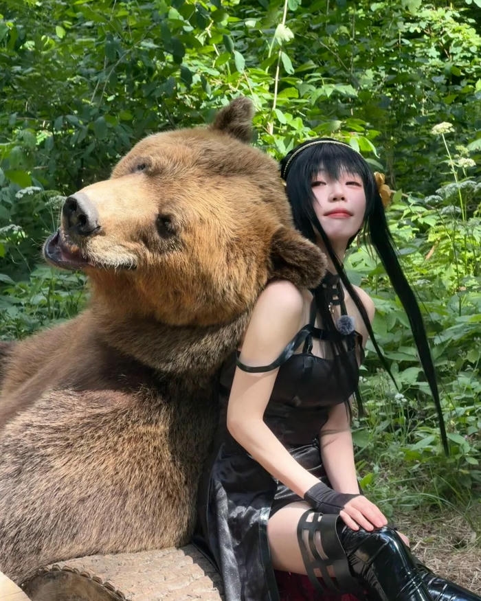 Yor Forger cosplay có diện mạo trẻ trung duyên dáng