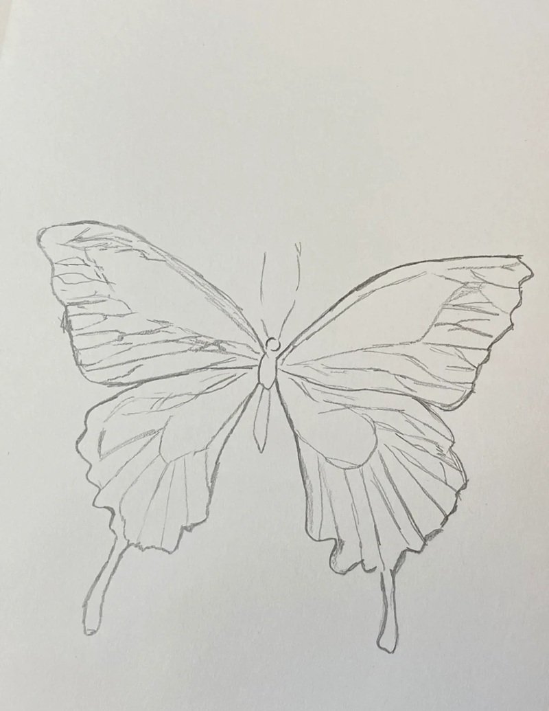 cách vẽ con bướm