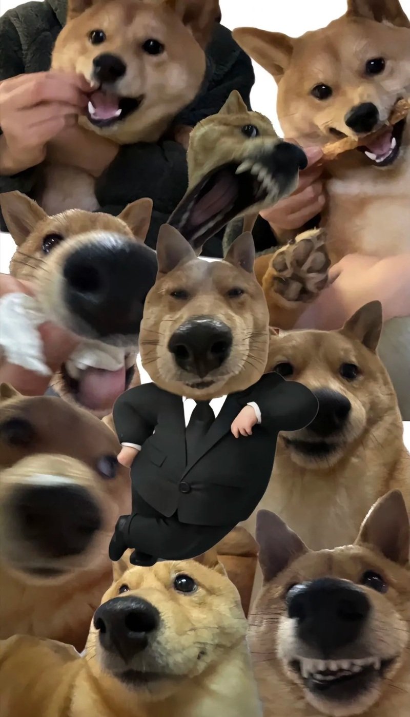 hình nền vô tri 37