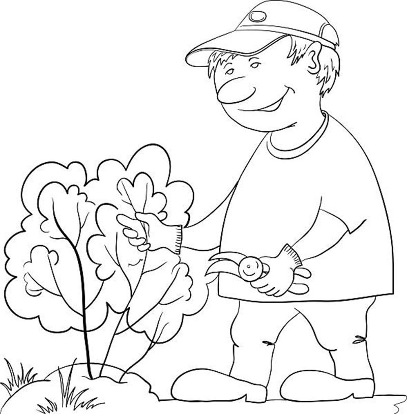 Man gardener works in a garden, cuts a bush with secateurs, contour. Vector