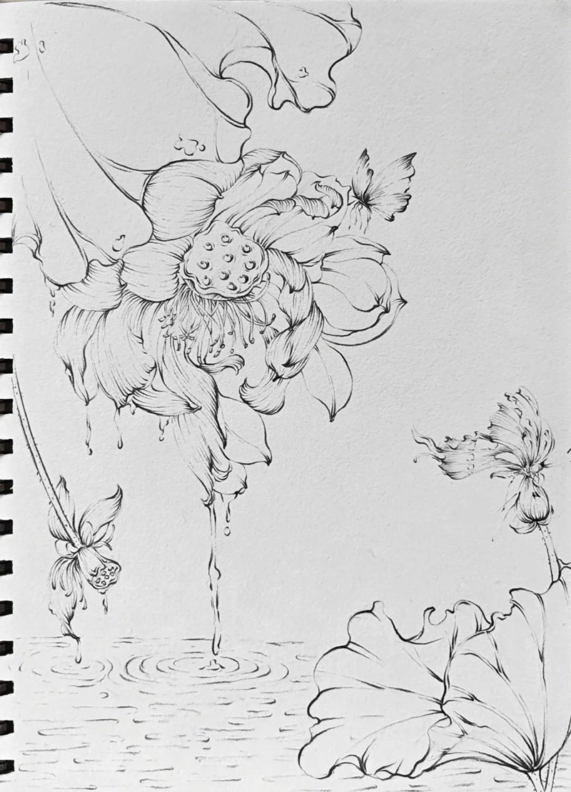 tranh vẽ hoa sen 34