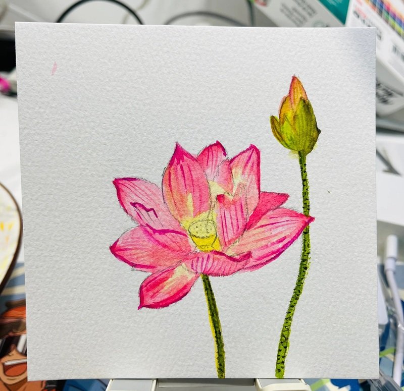 tranh vẽ hoa sen 36