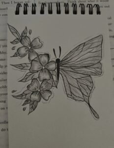 Top 88+ Những Mẫu Vẽ Bướm Đẹp Nhất Bạn Không Thể Bỏ Qua