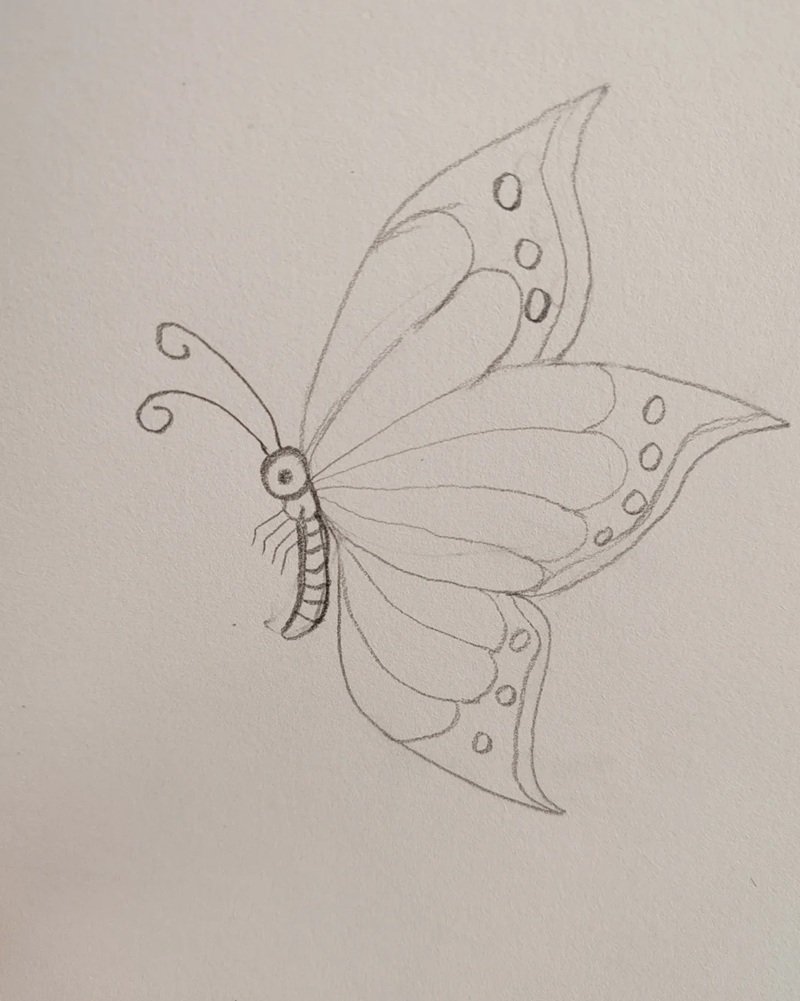 vẽ bướm 30
