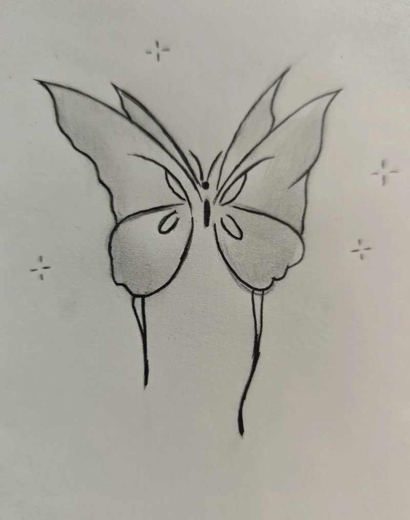 vẽ bướm 4