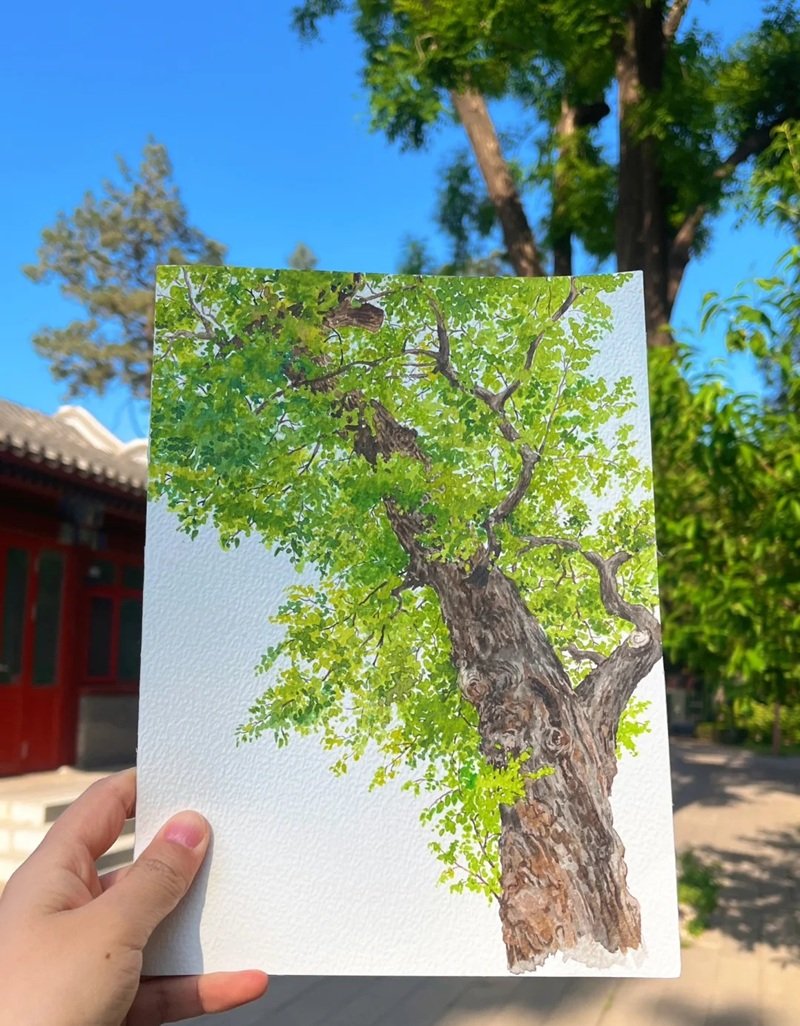 vẽ cây xanh đơn giản 13