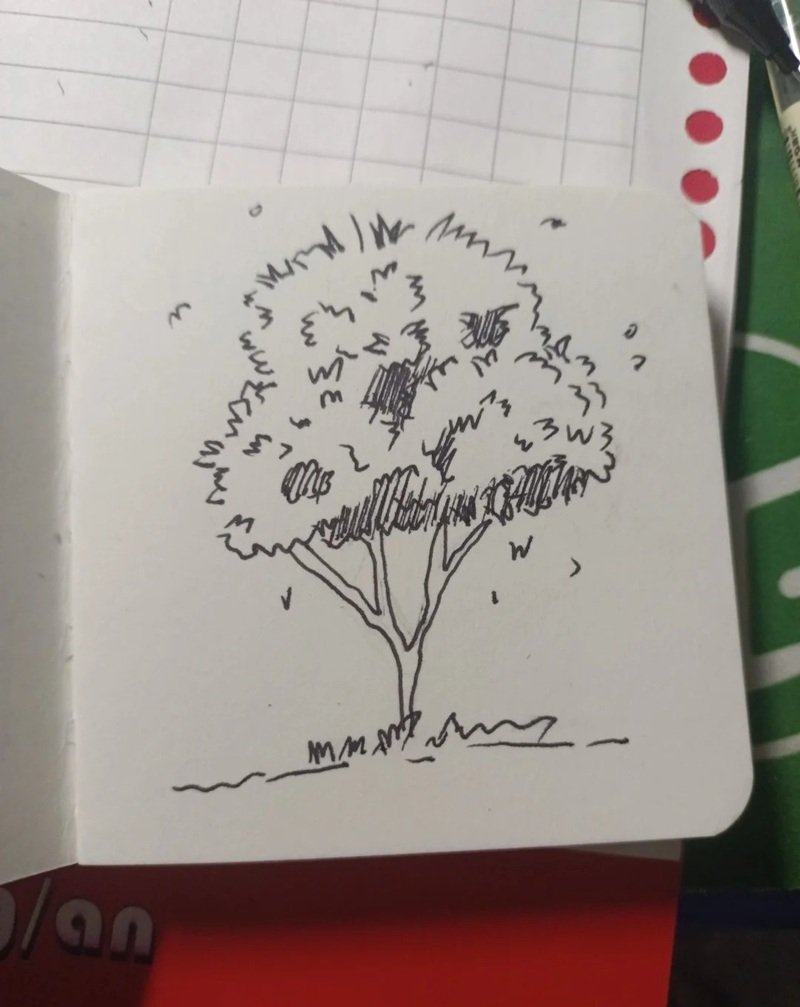 vẽ cây xanh đơn giản 14