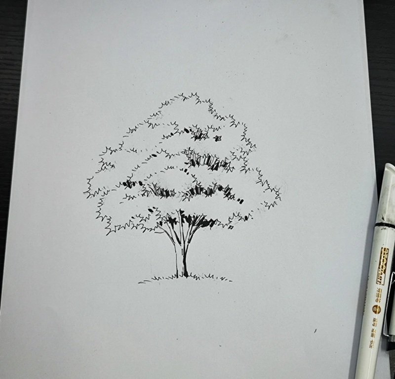 vẽ cây xanh đơn giản 21