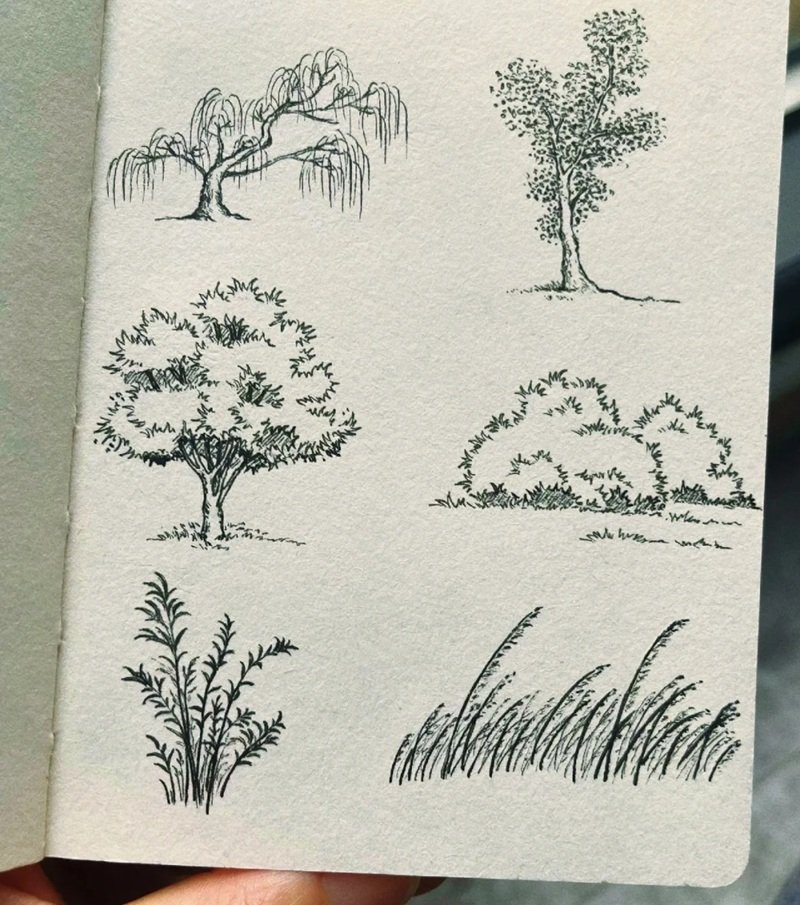 vẽ cây xanh đơn giản 24