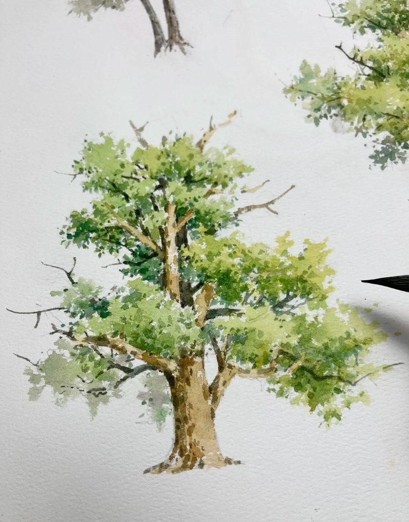 vẽ cây xanh đơn giản 30