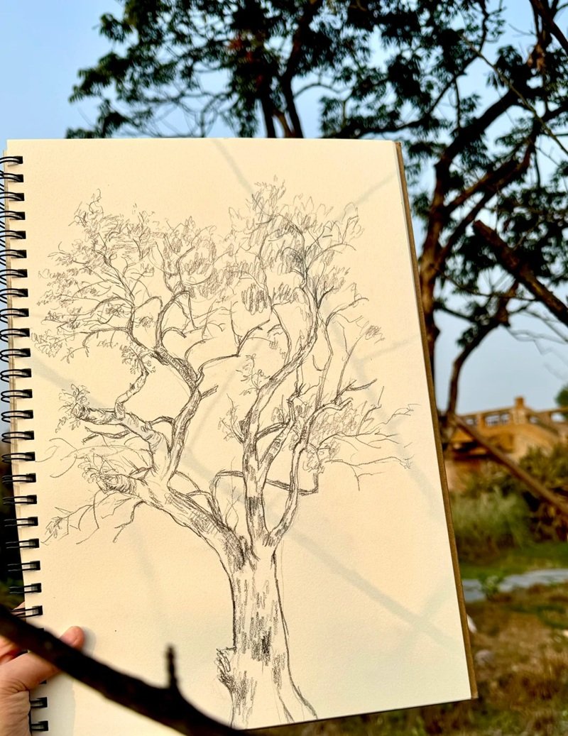 vẽ cây xanh đơn giản 31