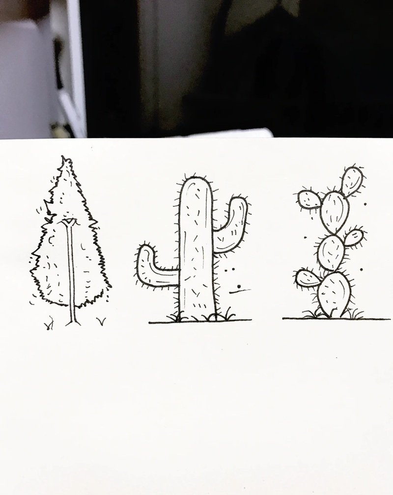 vẽ cây xanh đơn giản 32