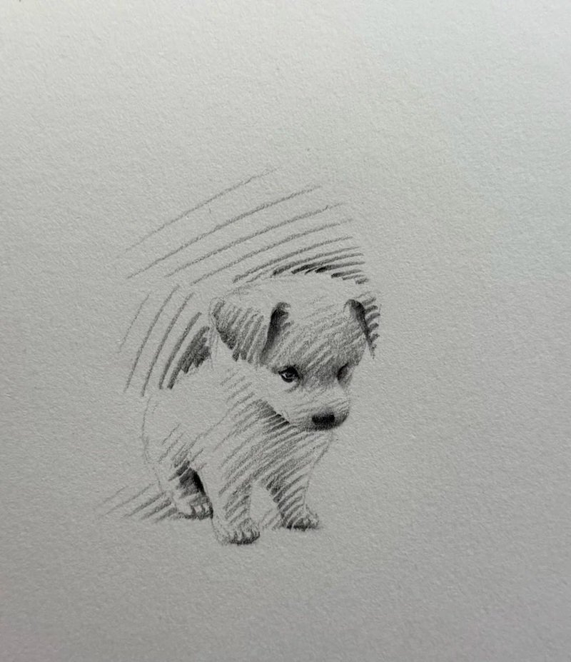 vẽ con vật đơn giản cute 13