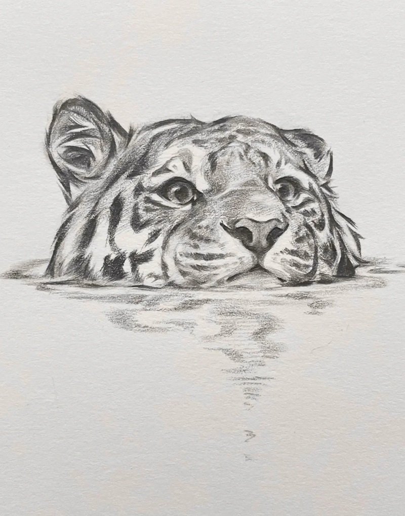 vẽ con vật đơn giản cute 21