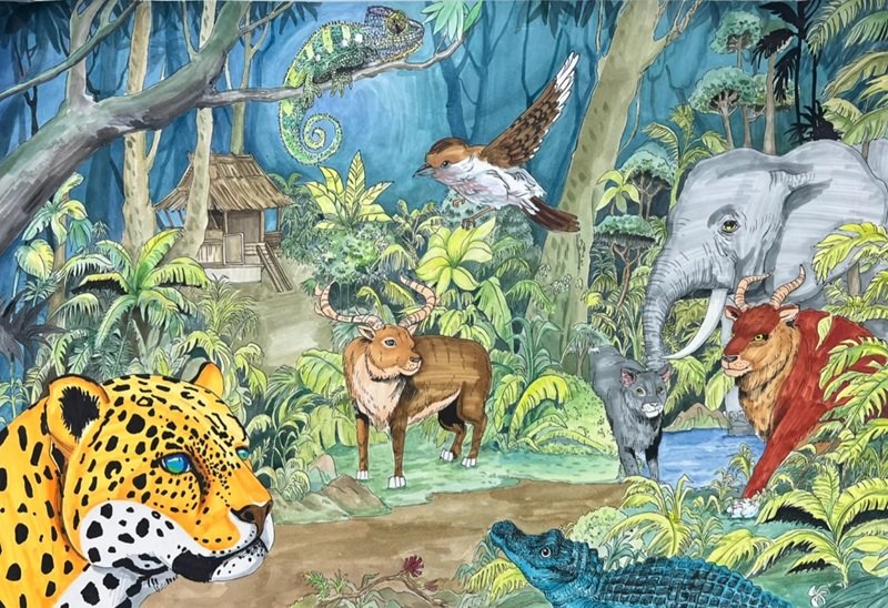 vẽ động vật hoang dã 11