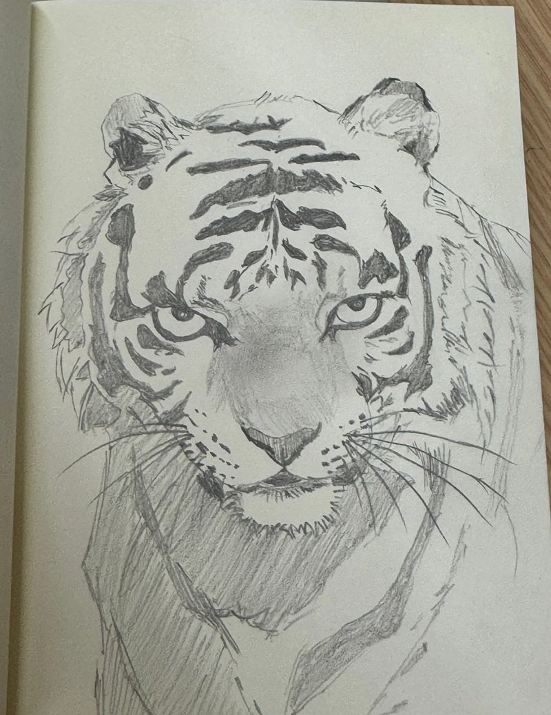 vẽ động vật hoang dã 30