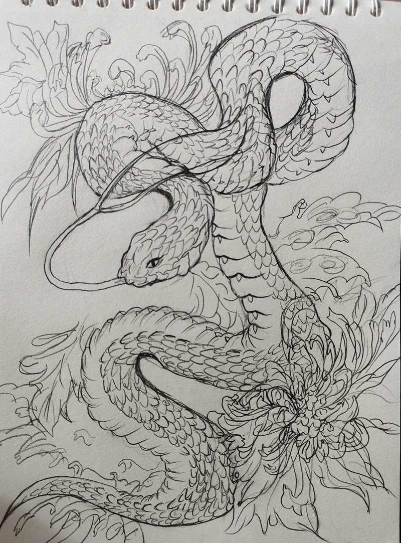 vẽ động vật hoang dã 34