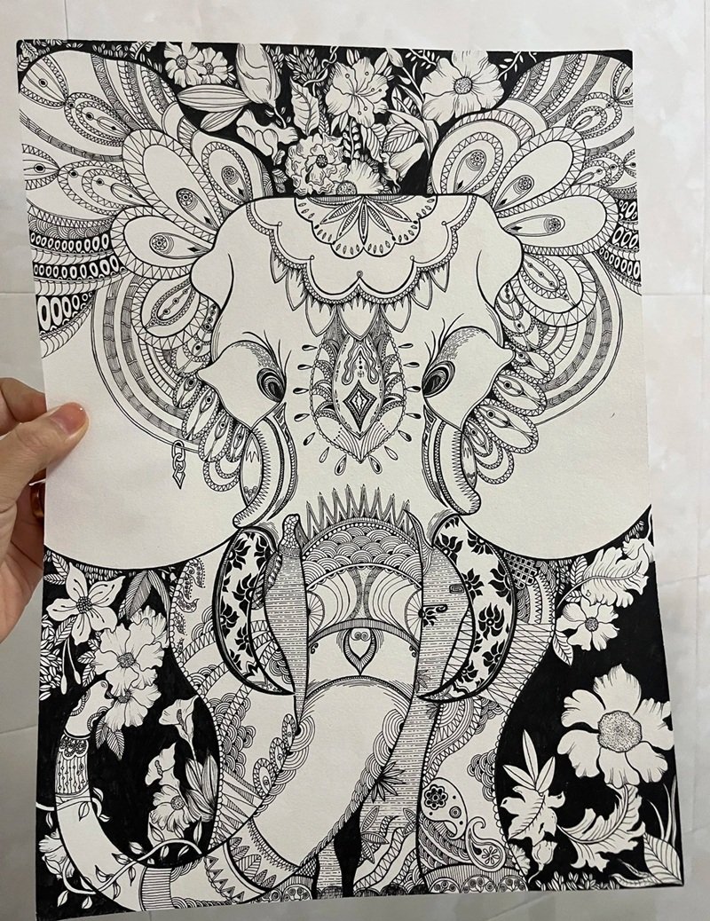 vẽ động vật hoang dã 40