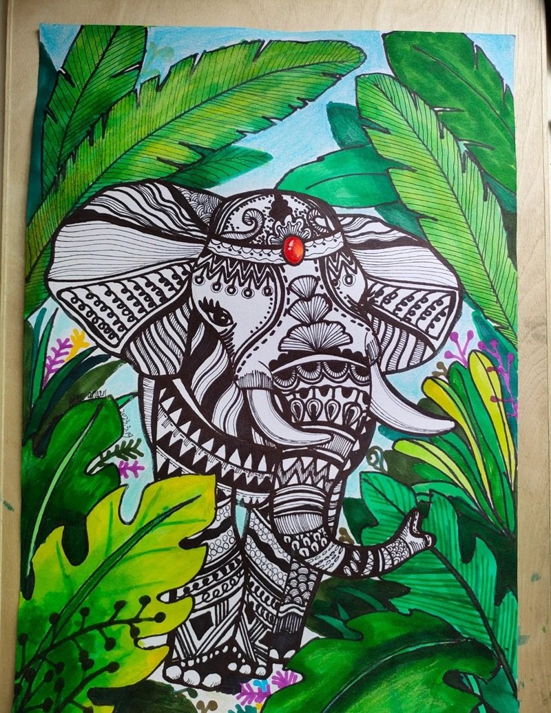 vẽ động vật hoang dã 6