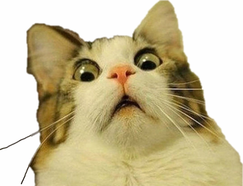 Bất ngờ meme bất ngờ trên mạng xã hội