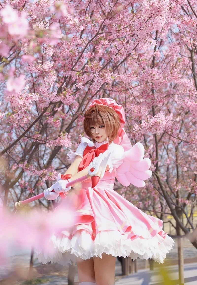 cosplay sakura​ 6